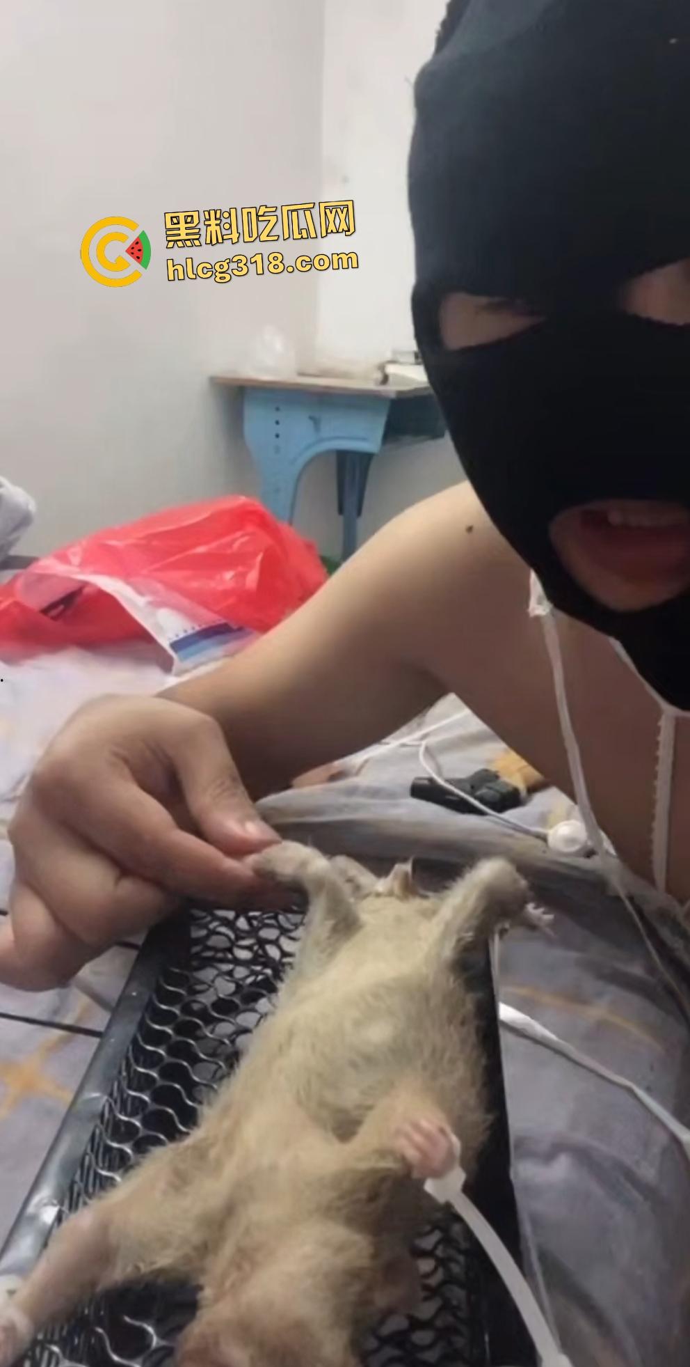 人兽变态新高度！蒙面猛男生啃死老鼠小鸡鸡，带着面罩生怕别人不知道是变态？  第5张