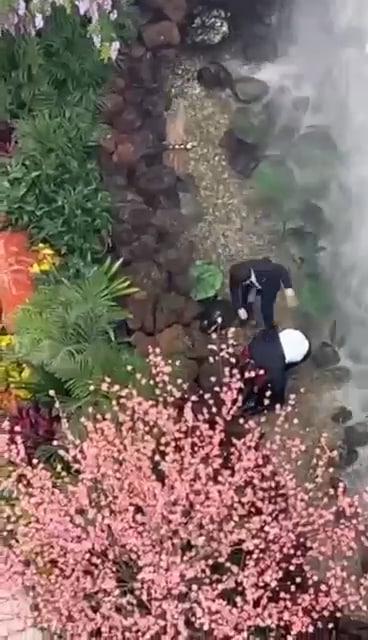 西安赛格跳楼事件 一女子从赛格 7 层坠入负二层 疑似与老公吵架一时想不开  第1张