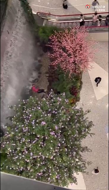 西安赛格跳楼事件 一女子从赛格 7 层坠入负二层 疑似与老公吵架一时想不开  第2张