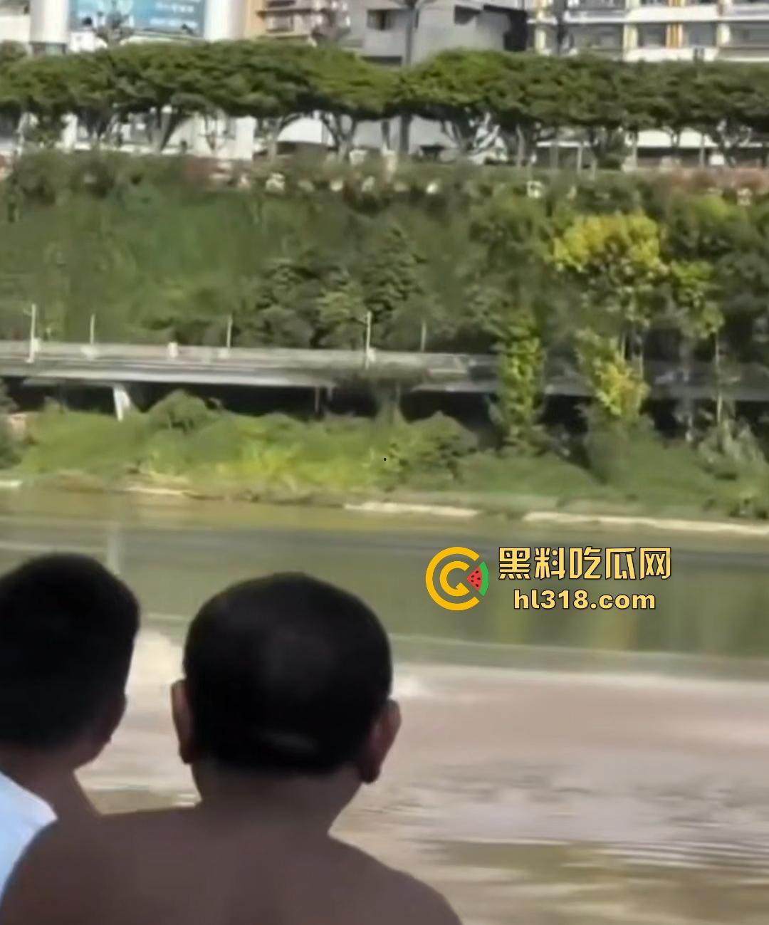 宜宾南门大桥惊魂跳河！黄河波浪敲响生命警钟，黄金30秒生死救援捡回一条狗命！  第4张