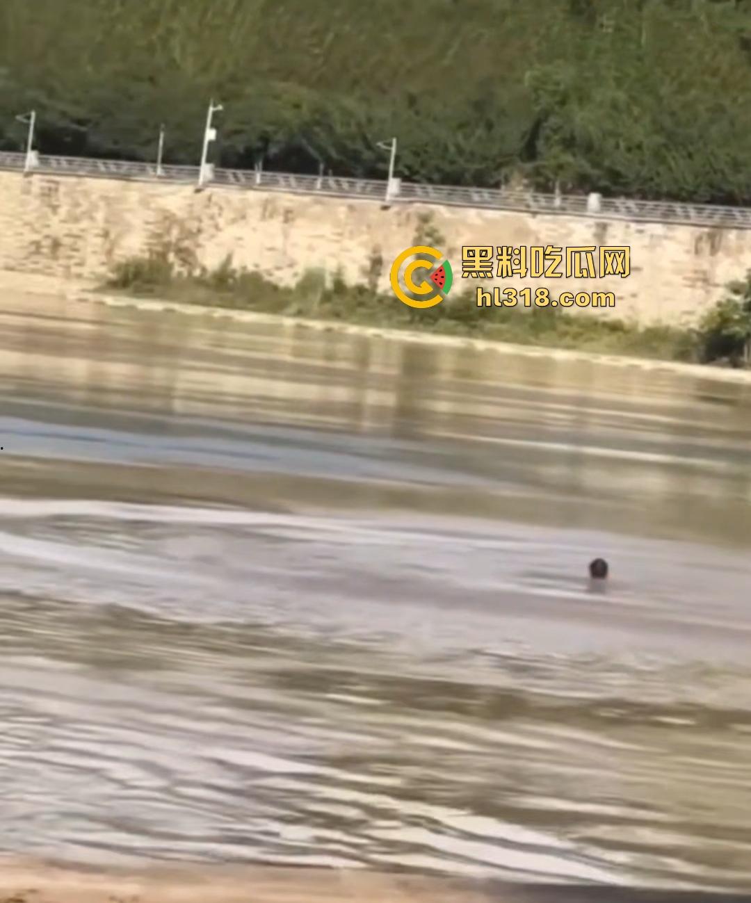 宜宾南门大桥惊魂跳河！黄河波浪敲响生命警钟，黄金30秒生死救援捡回一条狗命！  第5张