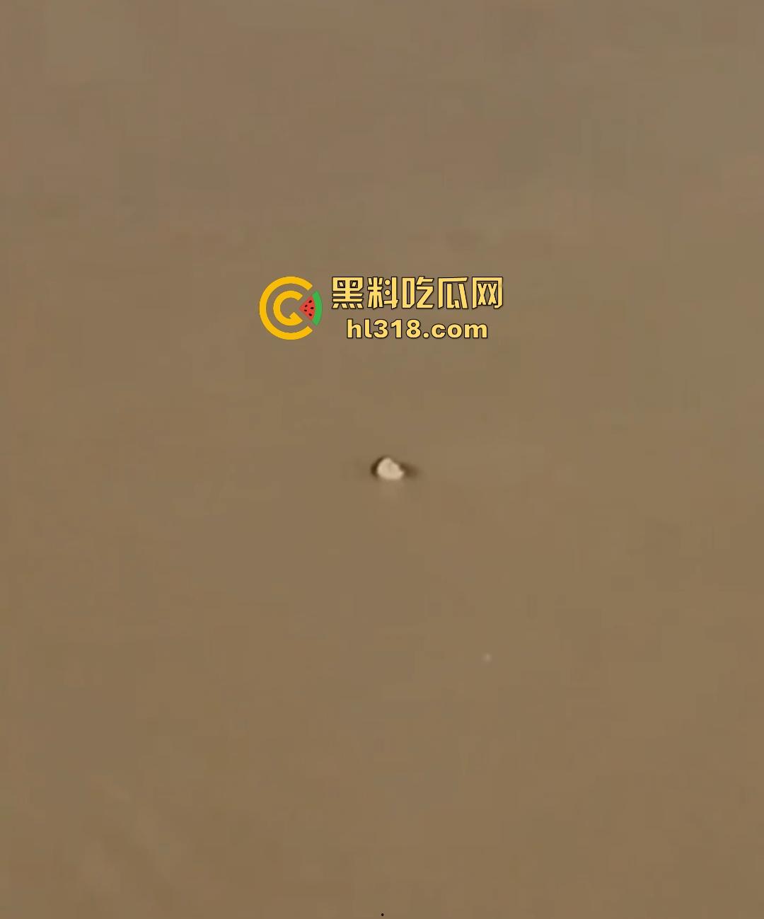 宜宾南门大桥惊魂跳河！黄河波浪敲响生命警钟，黄金30秒生死救援捡回一条狗命！  第6张