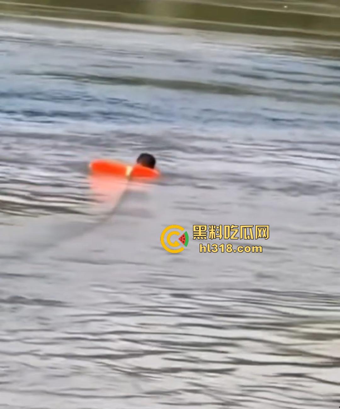 宜宾南门大桥惊魂跳河！黄河波浪敲响生命警钟，黄金30秒生死救援捡回一条狗命！  第7张