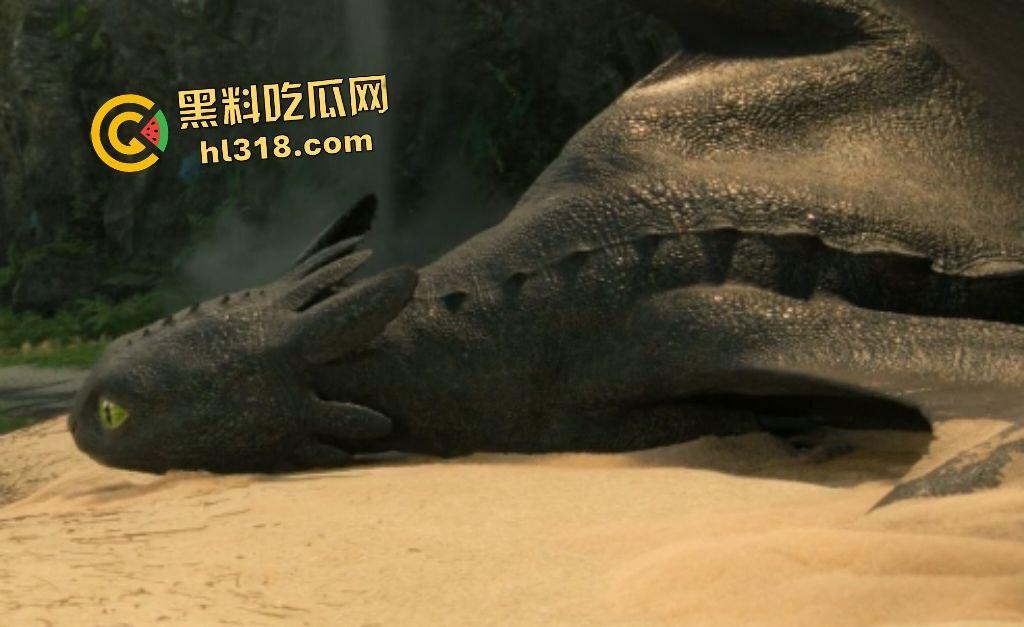 《新驯龙高手》小嗝嗝联手夜煞没牙仔打破族群壁垒，热血冒险不惧生死带领所有龙族一起打败恶龙  第6张