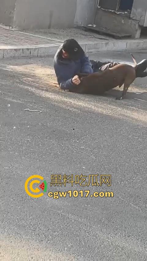 人狗街头大战！比特撕咬绝望老登，撕咬了一会主人拦开，狗子越想越气再次扑咬，不是路上这么多人就合着要这老头呗！  第2张