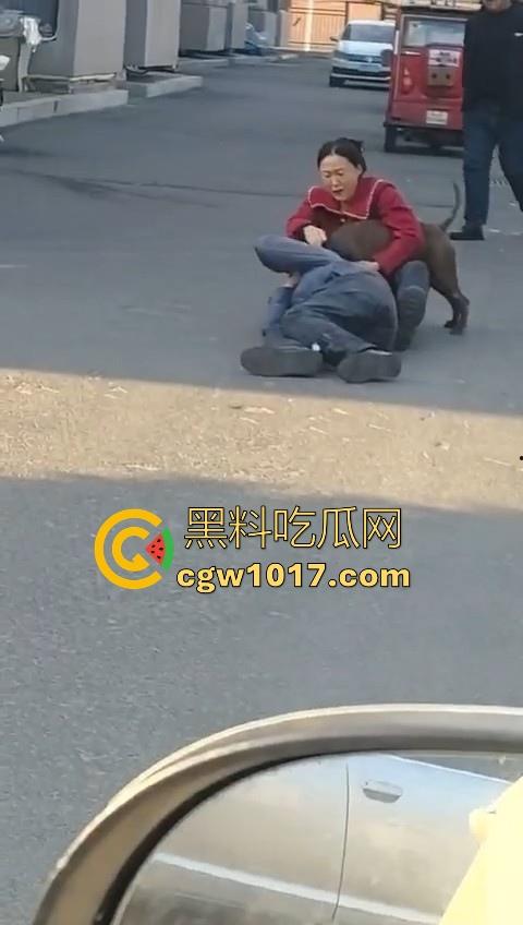 人狗街头大战！比特撕咬绝望老登，撕咬了一会主人拦开，狗子越想越气再次扑咬，不是路上这么多人就合着要这老头呗！  第6张