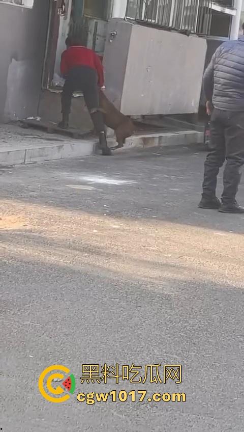 人狗街头大战！比特撕咬绝望老登，撕咬了一会主人拦开，狗子越想越气再次扑咬，不是路上这么多人就合着要这老头呗！  第7张