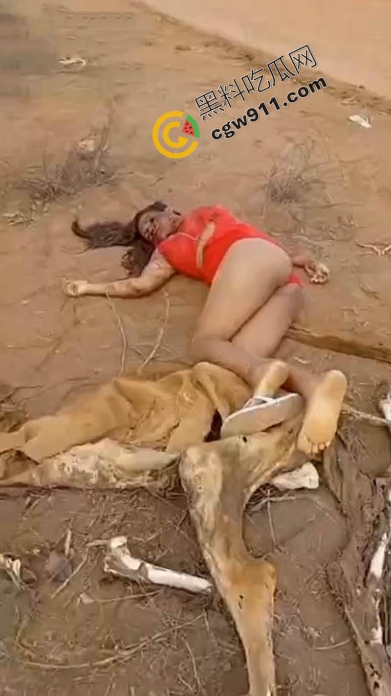 巴西路边血腥噩梦：北部湾州美女割喉弃尸，红衣浸血如修罗场，喉管撕裂，热血喷涌染红大地！  第2张