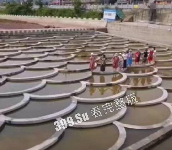 四川雅安陇西河鱼鳞坝，11位退休大妈衣着靓丽开心的在河坝边上载歌载舞  下一秒涨水带走七位，天人永隔！ 第3张