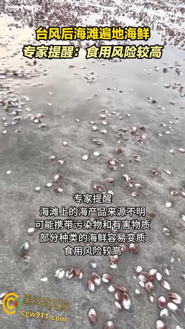 桦加沙台风卷海鲜上岸，街坊抢货如过年，海洋环境突变可能导致藻类大量繁殖，有毒勿食贪嘴小心躺板板！  第1张