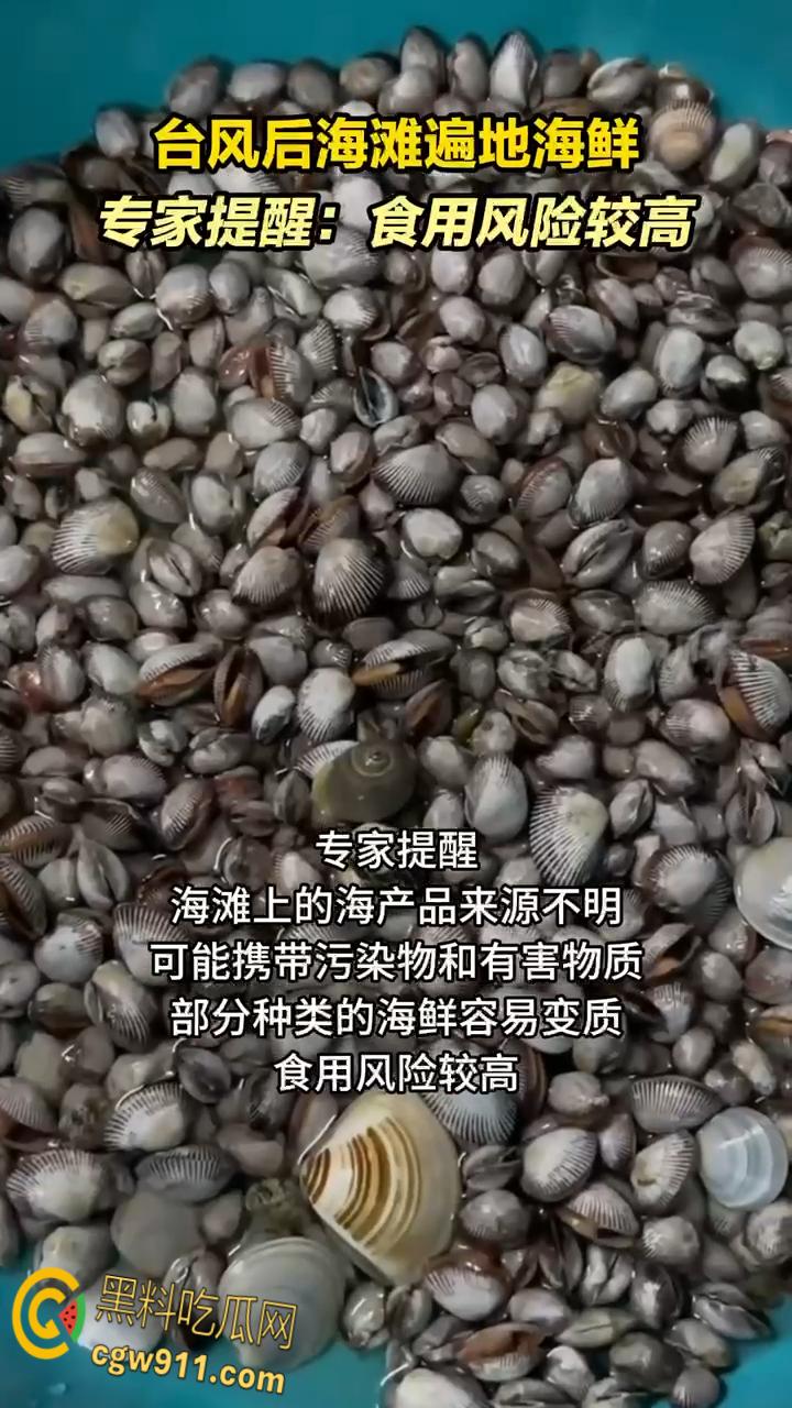 桦加沙台风卷海鲜上岸，街坊抢货如过年，海洋环境突变可能导致藻类大量繁殖，有毒勿食贪嘴小心躺板板！  第2张