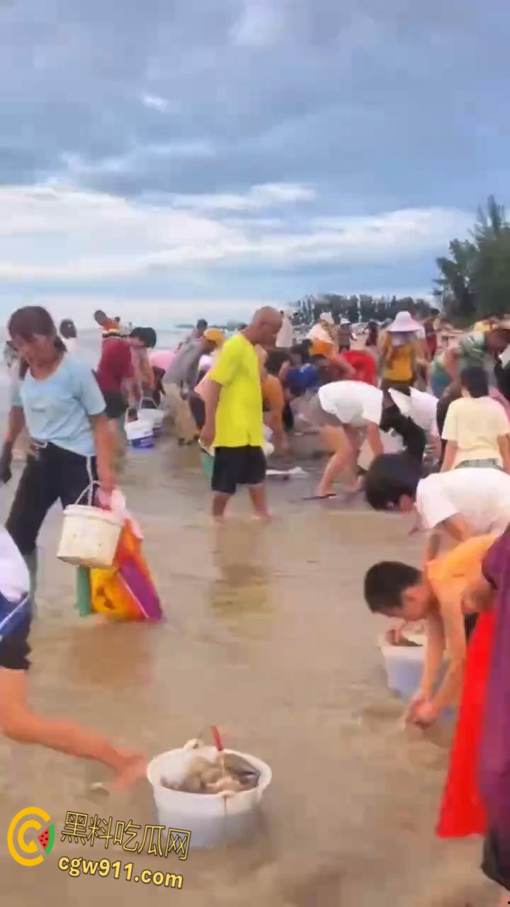 桦加沙台风卷海鲜上岸，街坊抢货如过年，海洋环境突变可能导致藻类大量繁殖，有毒勿食贪嘴小心躺板板！  第3张