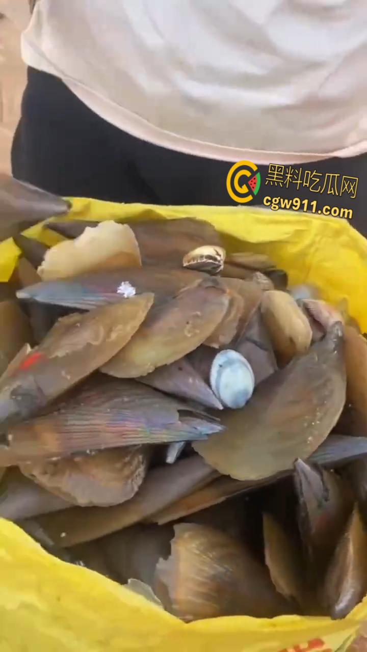 桦加沙台风卷海鲜上岸，街坊抢货如过年，海洋环境突变可能导致藻类大量繁殖，有毒勿食贪嘴小心躺板板！  第6张