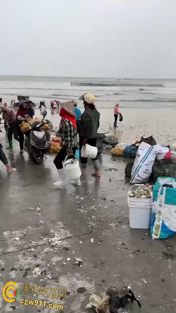 桦加沙台风卷海鲜上岸，街坊抢货如过年，海洋环境突变可能导致藻类大量繁殖，有毒勿食贪嘴小心躺板板！  第8张
