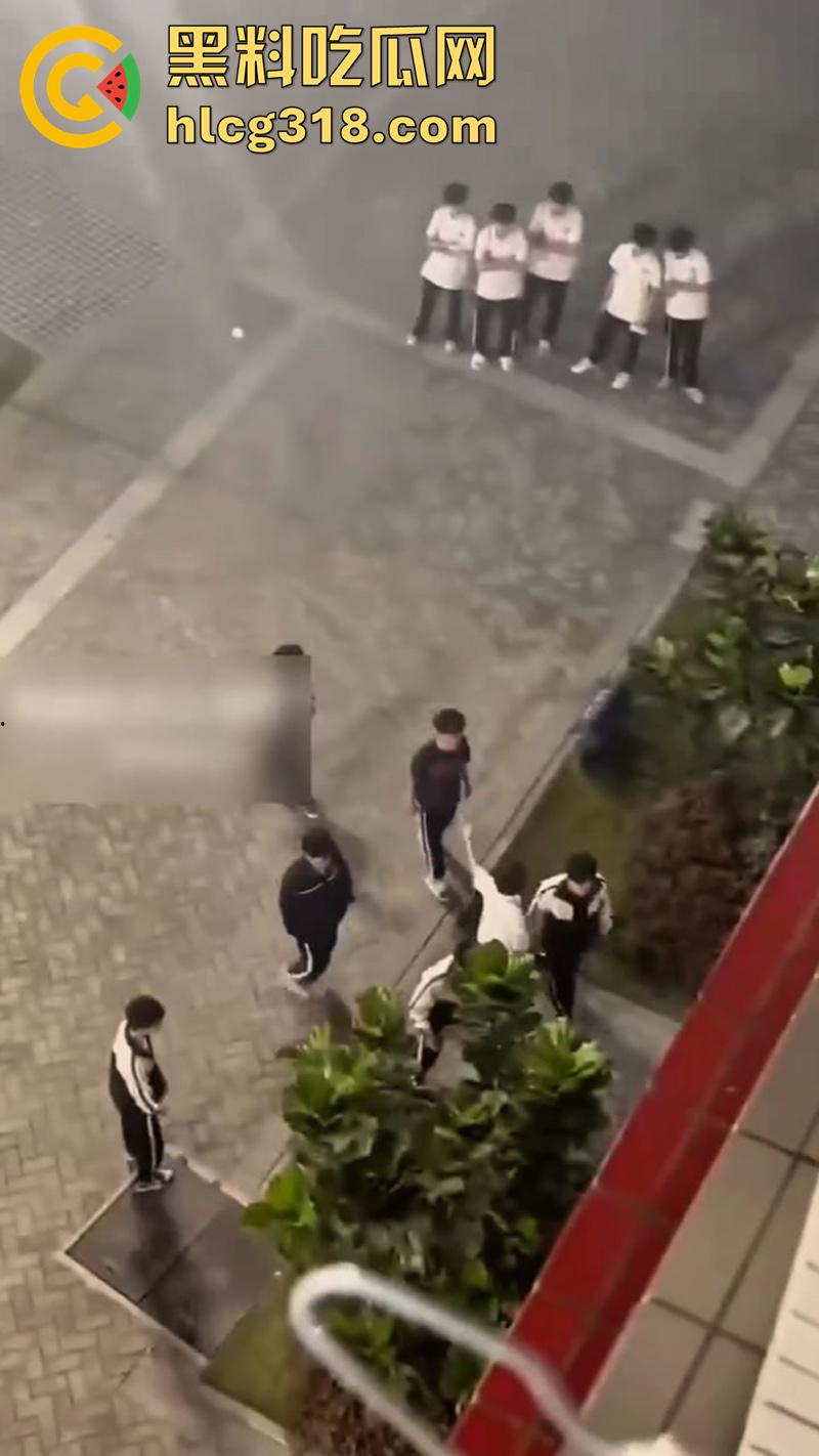 我拿你当兄弟你竟然操我妈？高中生把同学母亲给操怀孕了，儿子知道后直接在学校打起来了！  第7张