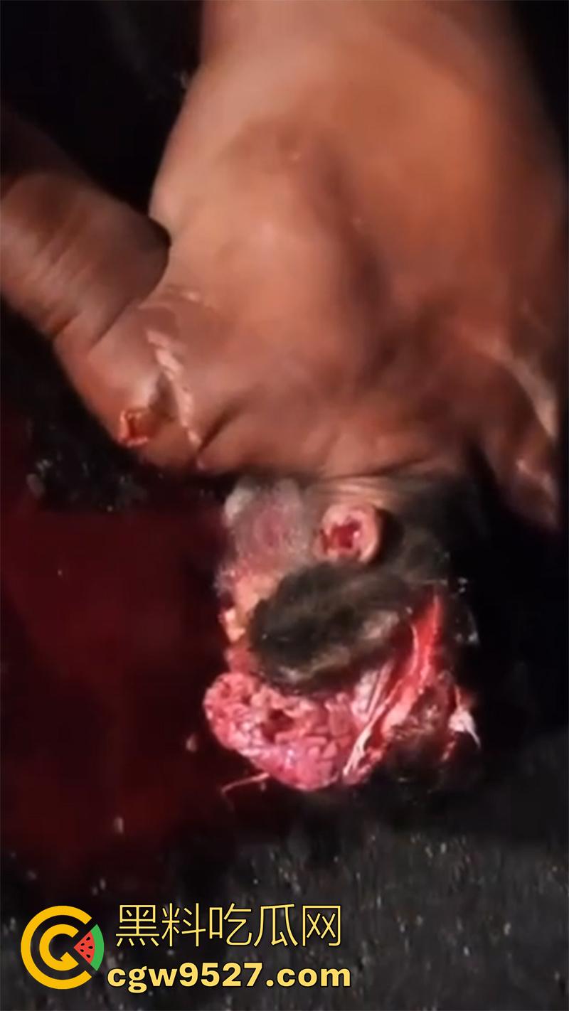 暗网流出血腥合集，吃人腿爆头剥皮车祸，想要的应有尽有，场面血腥过于重口，胆小者谨慎观看！  第4张