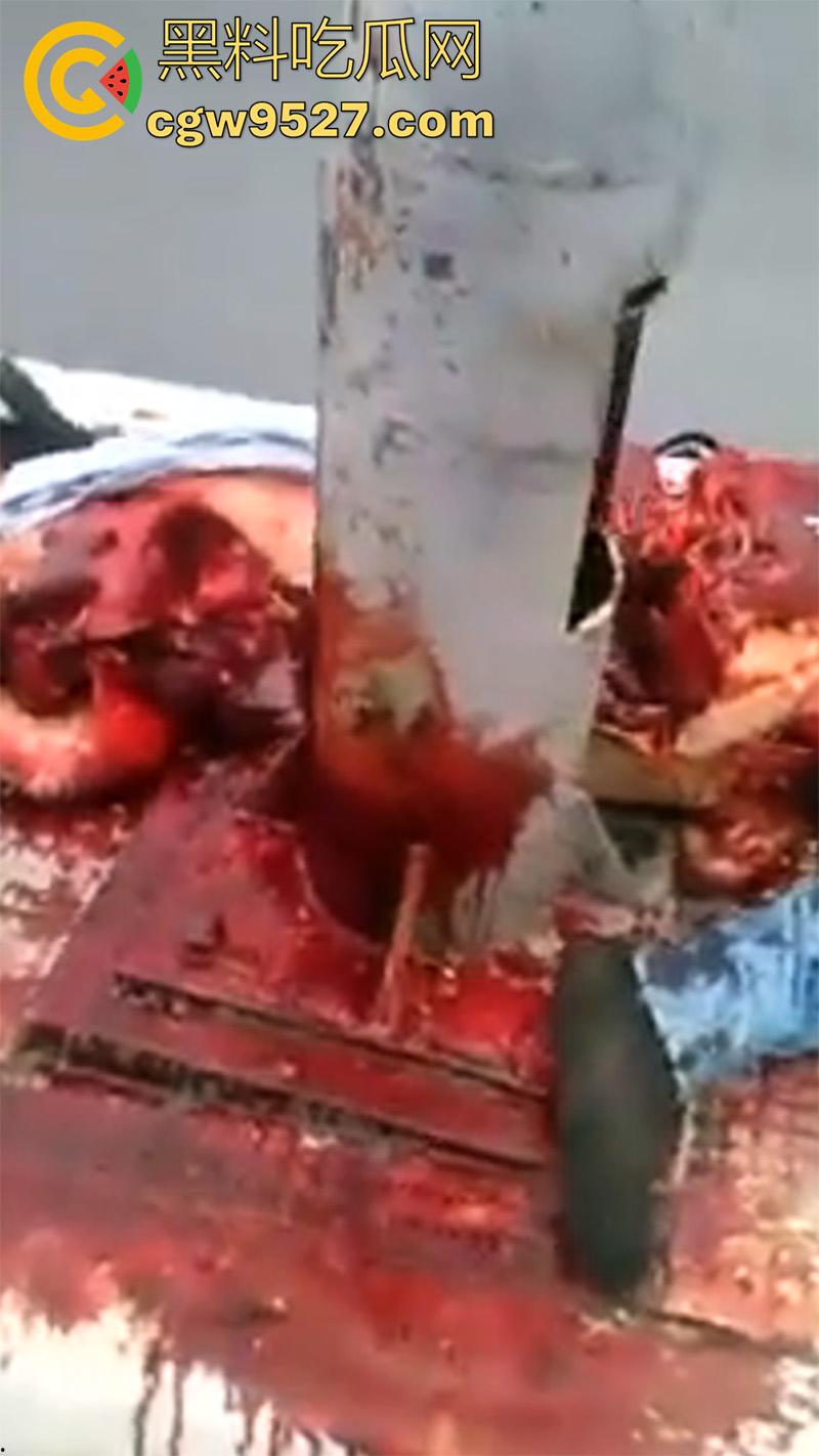暗网流出血腥合集，吃人腿爆头剥皮车祸，想要的应有尽有，场面血腥过于重口，胆小者谨慎观看！  第6张