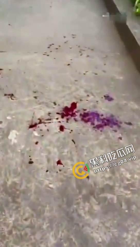 现场画面 ！菲律宾学校爆炸事件救援现场 血肉横飞 遍地鲜血  第4张