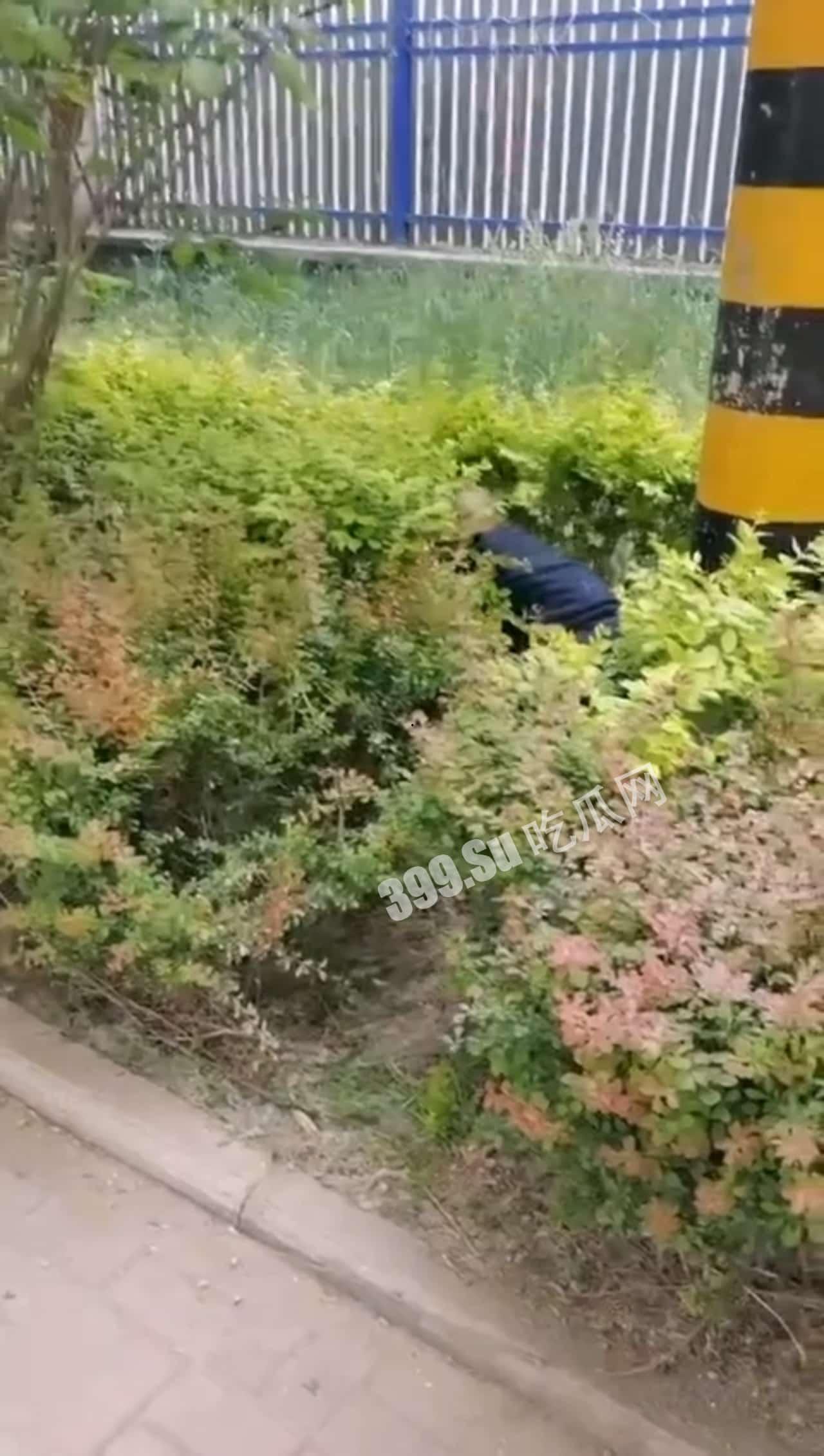 卧槽，光天化日之下还有这种事？！强奸女性  第1张