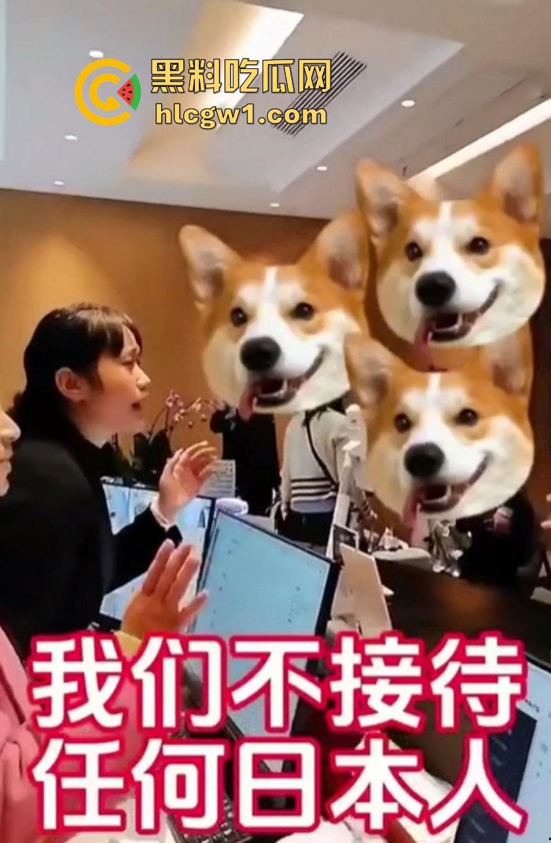“日本人与狗不得入内！”云南腾冲鑫际酒店霸气拒绝日本人住店 防空警报吓退狗日 全国人民都沸腾了！  第11张