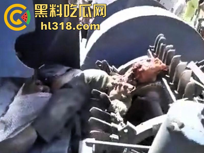 印度农场突发事故，男子偷闲抽烟时，遭同伴恶搞吓唬，竟意外卷入收割机，胸部以下被当场碾碎！  第5张