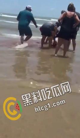 美国德克萨斯州南帕德里岛海滩，多人被鲨鱼咬伤。两男两女遭到鲨鱼袭击。政府已派出直升机将其驱赶。  第3张