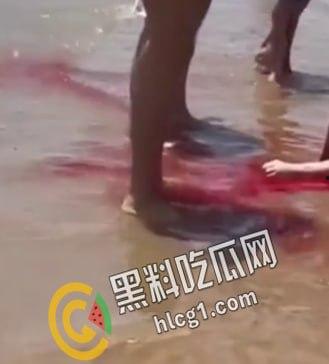 美国德克萨斯州南帕德里岛海滩，多人被鲨鱼咬伤。两男两女遭到鲨鱼袭击。政府已派出直升机将其驱赶。  第4张