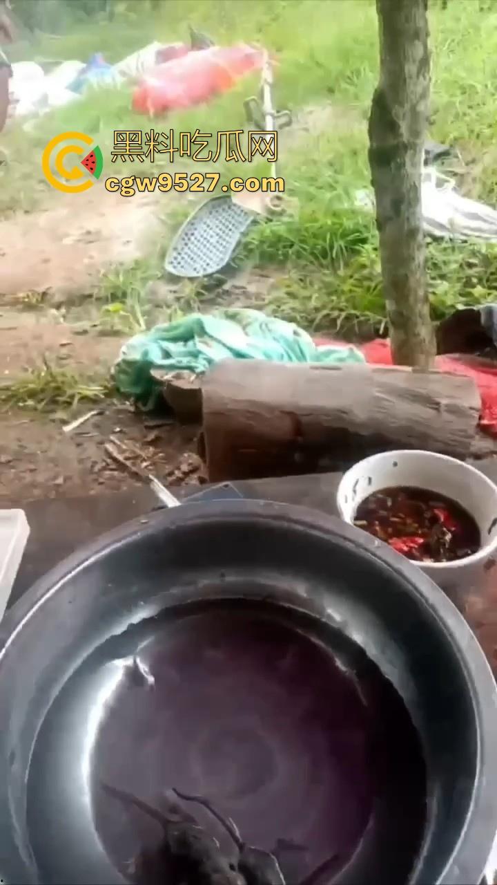 不是哥们这都能生吃呀！真不怕得病?真的极其重口，生吞小老鼠，也不怕得病 ！  第7张