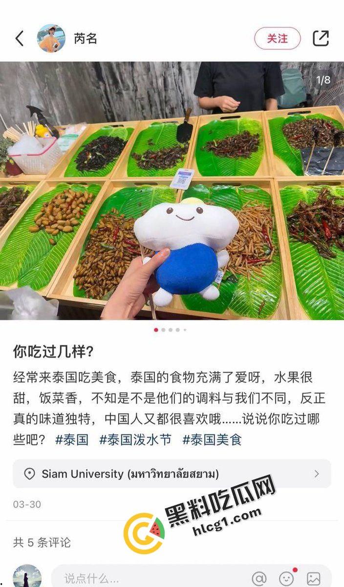 中国外围女Yan Ruimin在泰国遭遇绑架后被撕票杀害 其账号却在澳门消费 凶手竟是安徽人  第6张