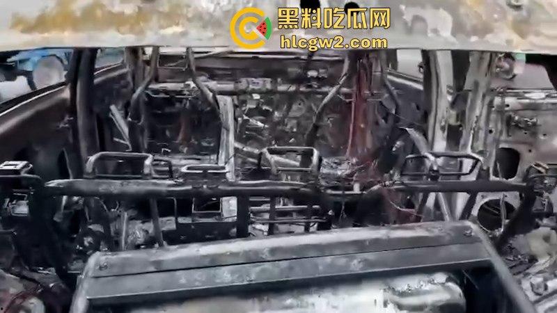温州龙港时代大道一比亚迪突发自燃 短短几分钟烧没了 现场烧车视频曝光  第6张