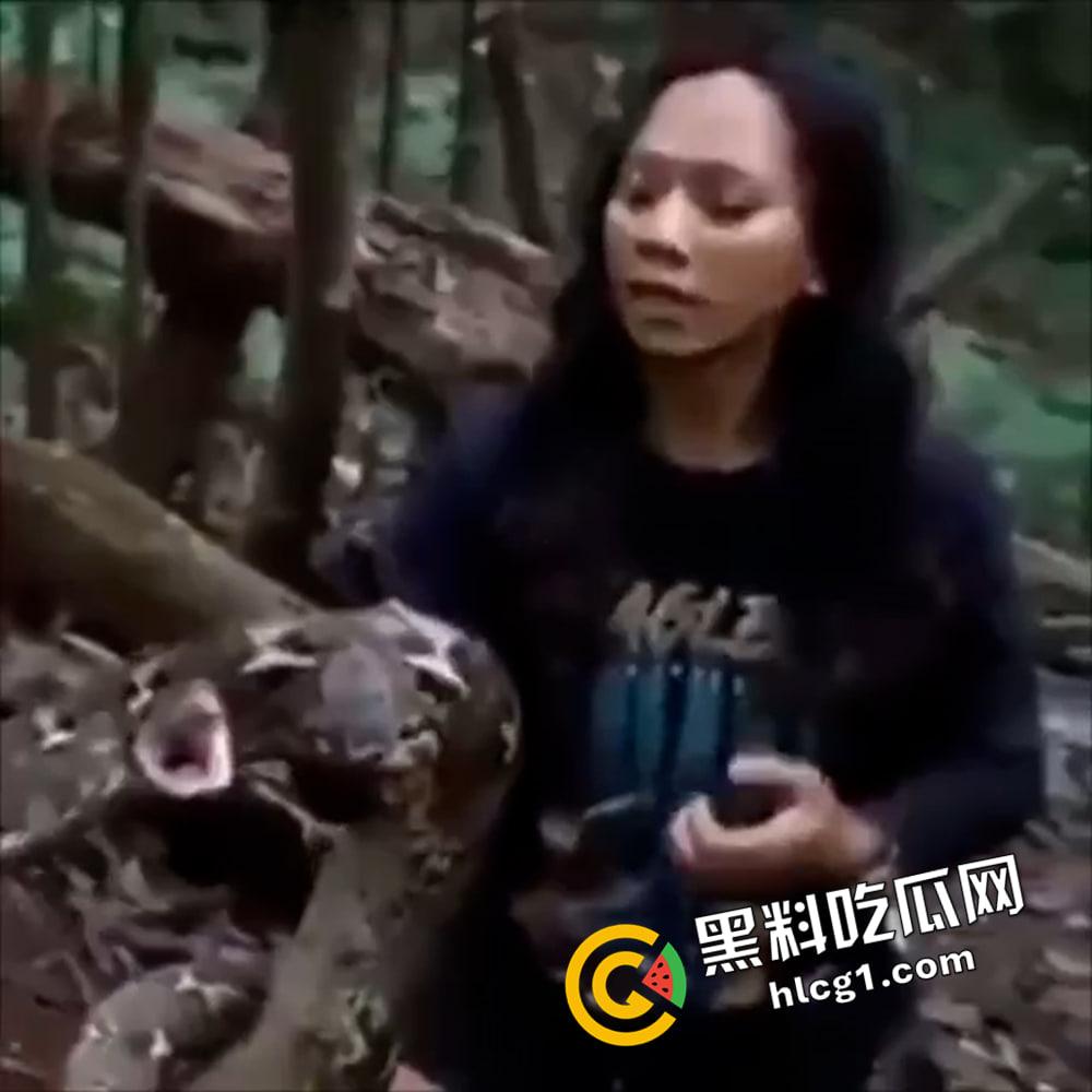 巨蟒咬鸡鸡  没有毒都能要人命 上一秒嚣张 下一秒死的心都有了 第1张