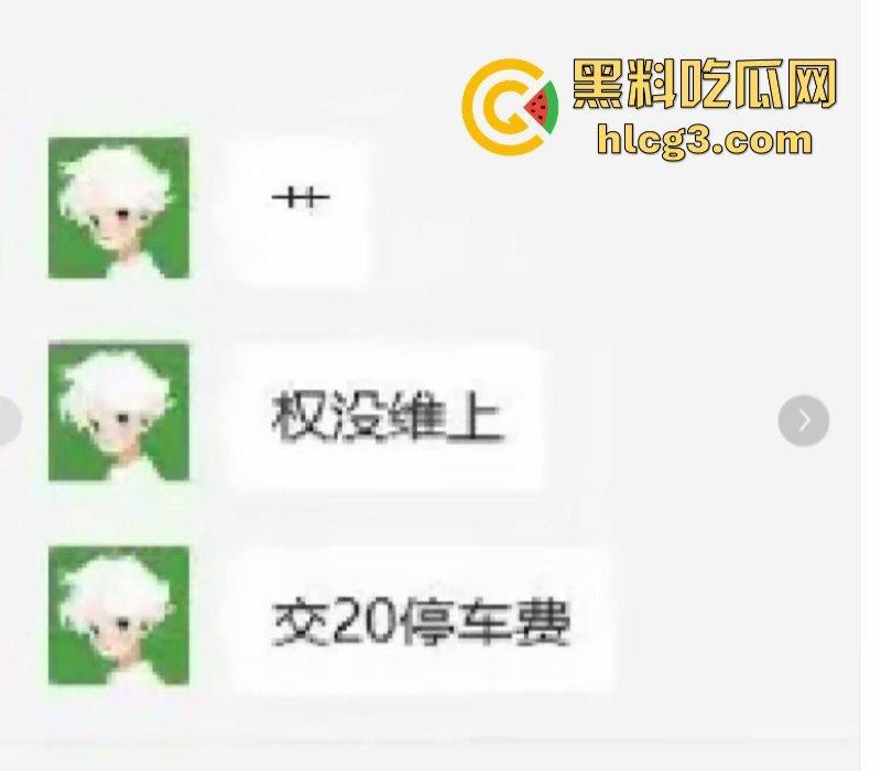 权没维上 还交了20块停车费？极氪背后的生存之战 极氪车主彻底破防 老车主拉横幅维权  第5张