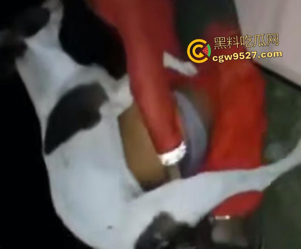 印度18岁少女为驱除“恶灵”，要嫁给一条流浪狗，深夜在户外被流浪狗后入，狗精子腥臭四溢！  第1张