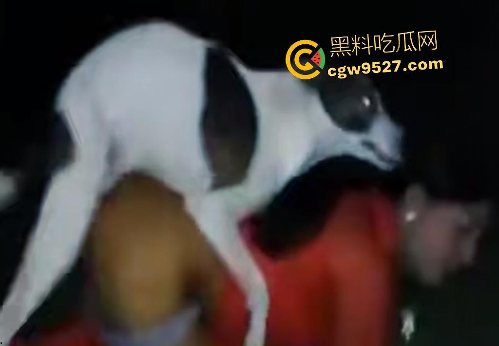 印度18岁少女为驱除“恶灵”，要嫁给一条流浪狗，深夜在户外被流浪狗后入，狗精子腥臭四溢！  第3张