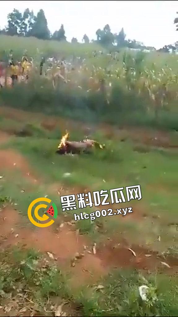 尼哥就是狠！南非尼哥虐待小孩 被抓到后活活烧死 惨不忍睹  第6张
