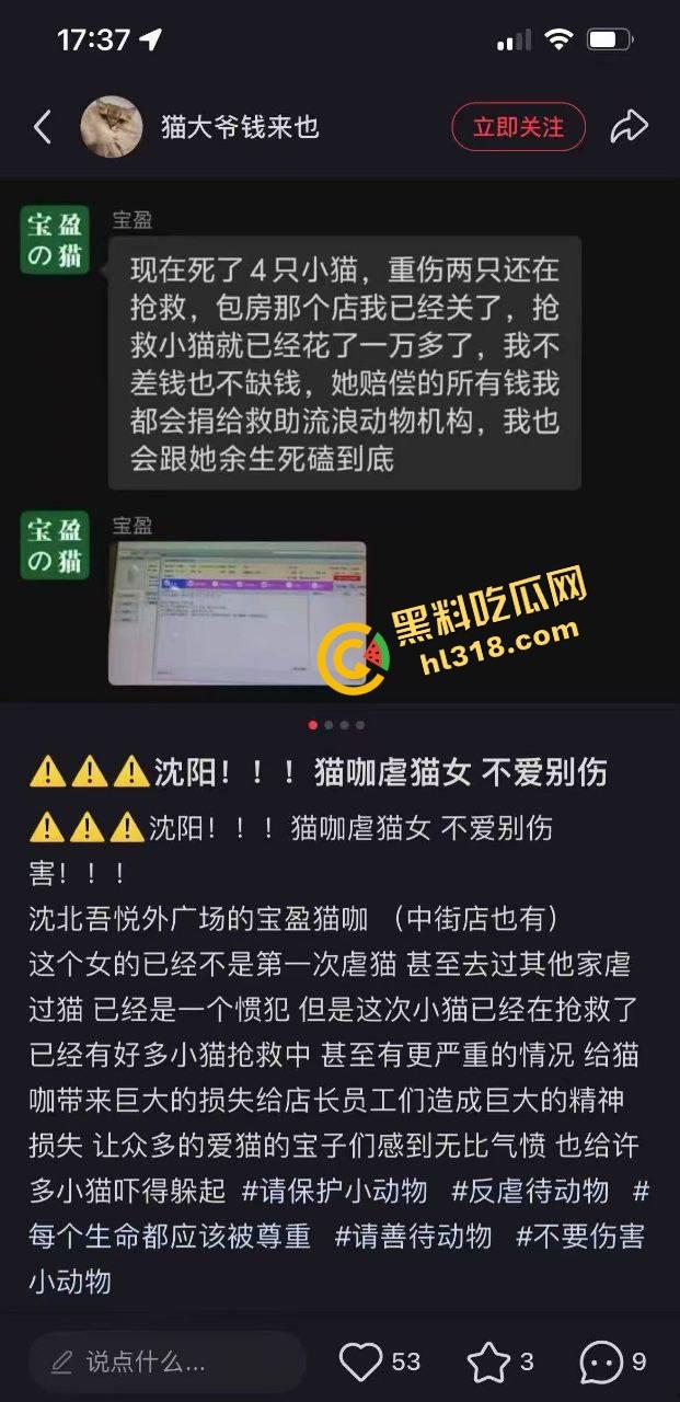 沈阳猫咖惊现女魔头虐猫狂魔，4只奶猫惨死2只重伤，老板怒曝监控报警，宠物圈集体避雷！  第1张