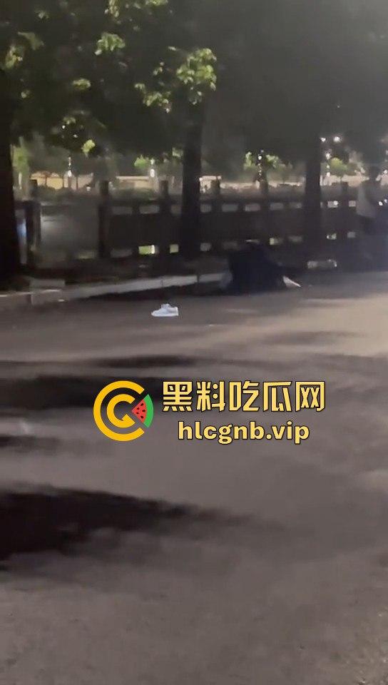 广西两精神小伙为爱街头打架，鞋子都飞了！旁边还有人敲锣打鼓助威！  第3张