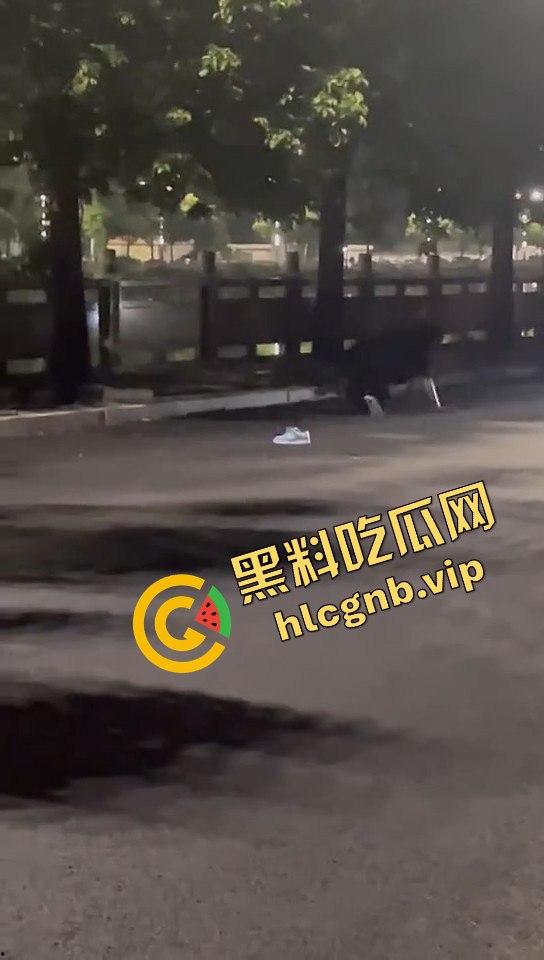 广西两精神小伙为爱街头打架，鞋子都飞了！旁边还有人敲锣打鼓助威！  第6张