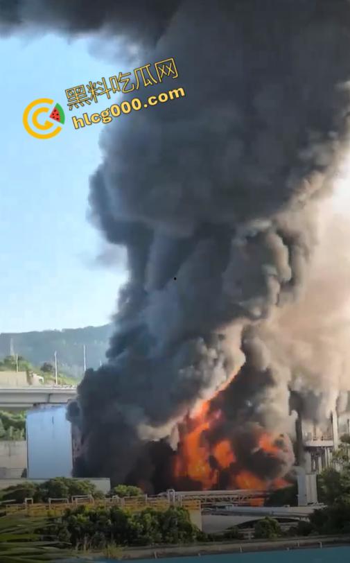厦门海沧区发生重大火灾！从白天烧到晚上，画面震憾堪比导弹爆炸，蘑菇云不断冒出，惹得人心惶惶  第9张