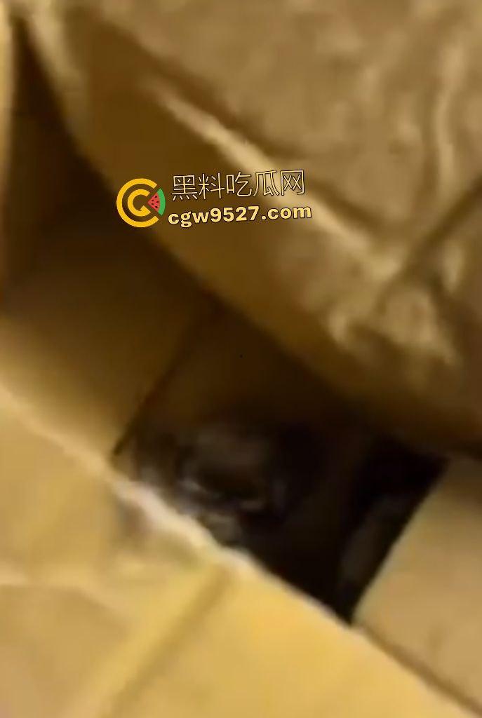 拼多多直播间骗人？69.99元20只“蟹黄满满”大螃蟹翻车！到手拇指大小，网购梦碎，再也不相信网购了！  第3张