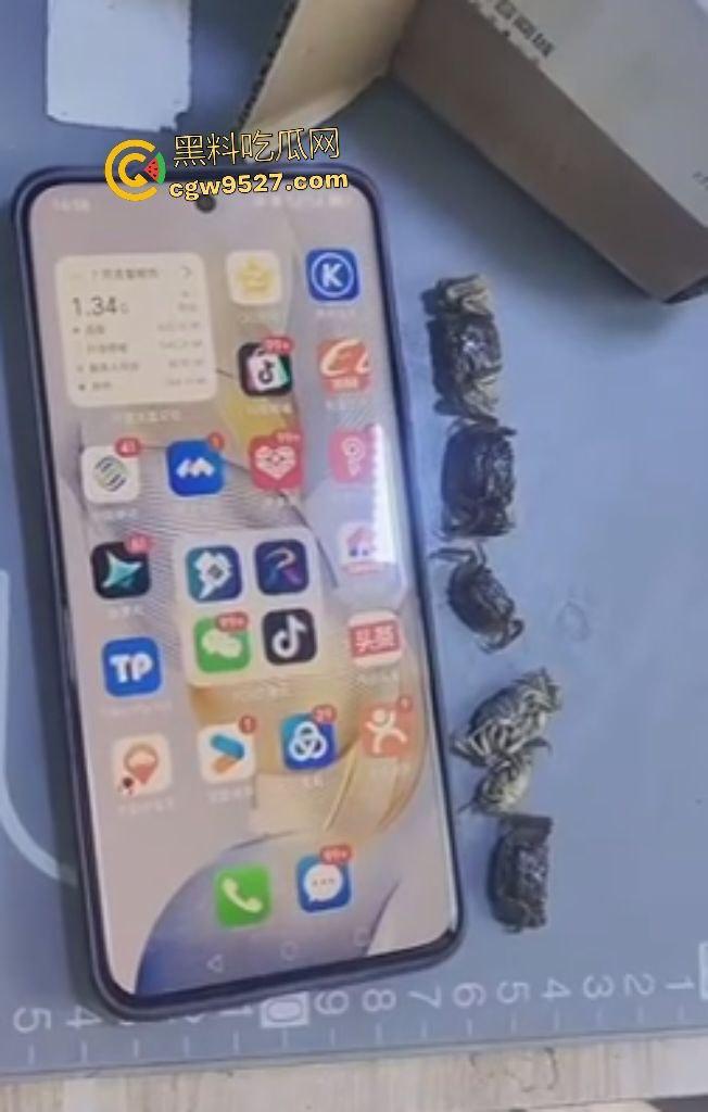 拼多多直播间骗人？69.99元20只“蟹黄满满”大螃蟹翻车！到手拇指大小，网购梦碎，再也不相信网购了！  第5张