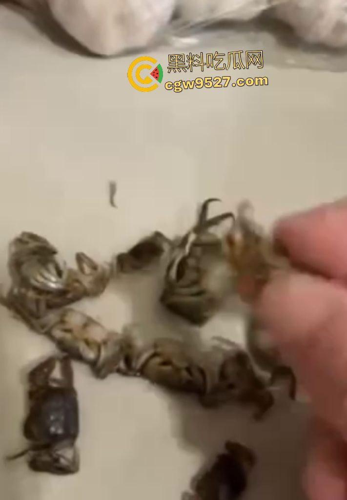 拼多多直播间骗人？69.99元20只“蟹黄满满”大螃蟹翻车！到手拇指大小，网购梦碎，再也不相信网购了！  第8张