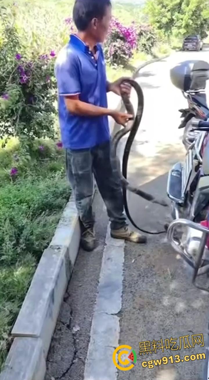 贵州男子徒手玩耍毒蛇，抽烟炫耀套脖子上到处甩，不料却是眼镜王蛇，最终被咬后两个小时死亡 !  第1张