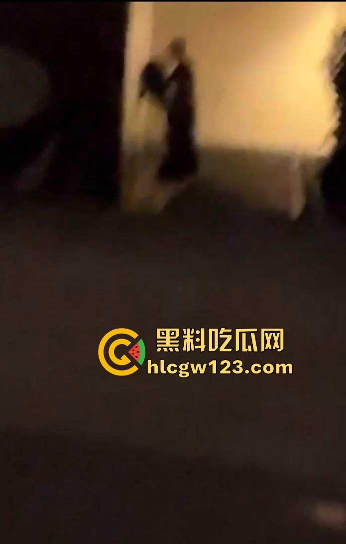 成都东郊记忆酒吧街，老外激情就干 老外就是开放 不知道干的是不是又是我们国内T0版本的小仙女！  第4张