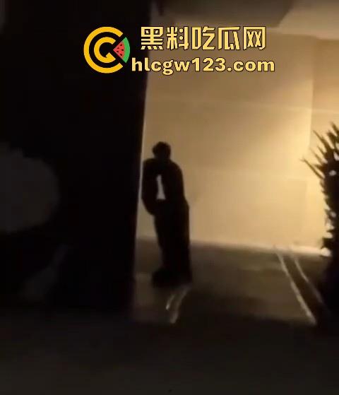 成都东郊记忆酒吧街，老外激情就干 老外就是开放 不知道干的是不是又是我们国内T0版本的小仙女！  第8张