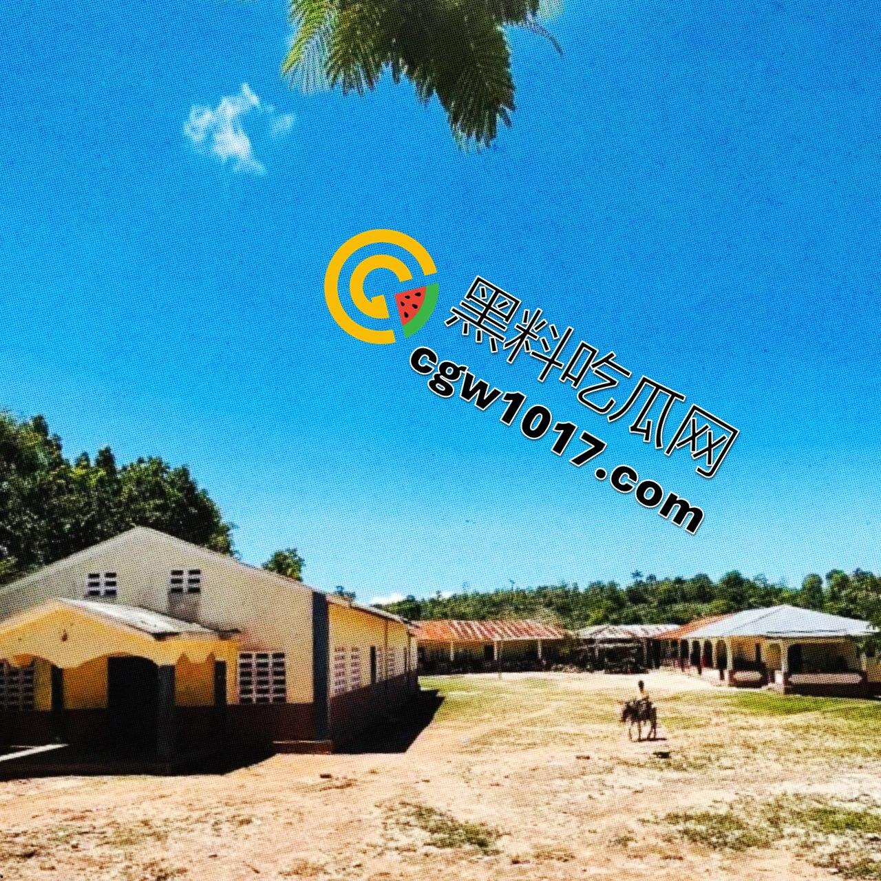 德克萨斯不养闲人 一位消防员 一位空军飞行员两人计划召集一支流浪汉军队，夺取海岸附近的一个岛屿并将所有女性都将成为性奴隶！  第2张