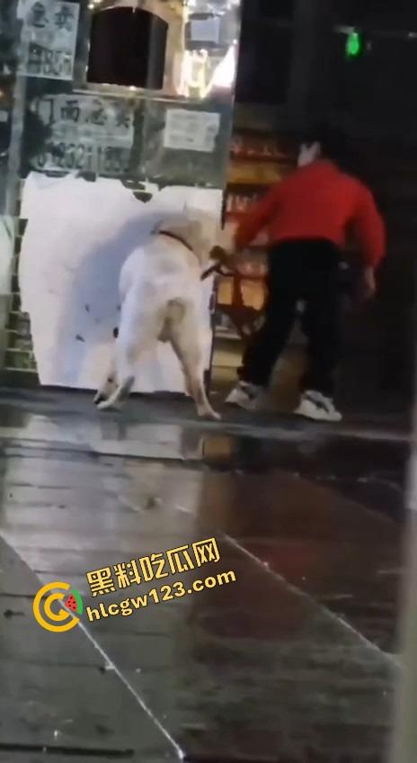 成都00后小孩哥街头遛狗变骚戏，大街上让狗日得嗷嗷浪叫，母0贱态趴在地上撅着屁股让狗抱！  第5张