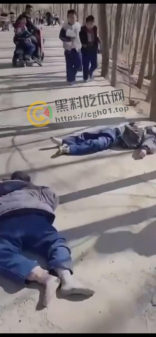 山东德州残疾人酒驾撞死学生 尸体遍地 死亡数十人 现场血腥画面曝光  第3张