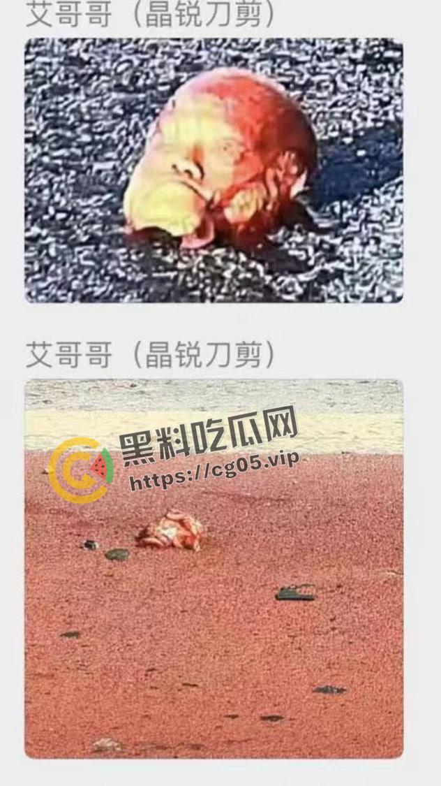 浙江极氪001撞死横穿马路路人 人头分离 整个脑浆撞出来了 现场血腥画面报告  第5张