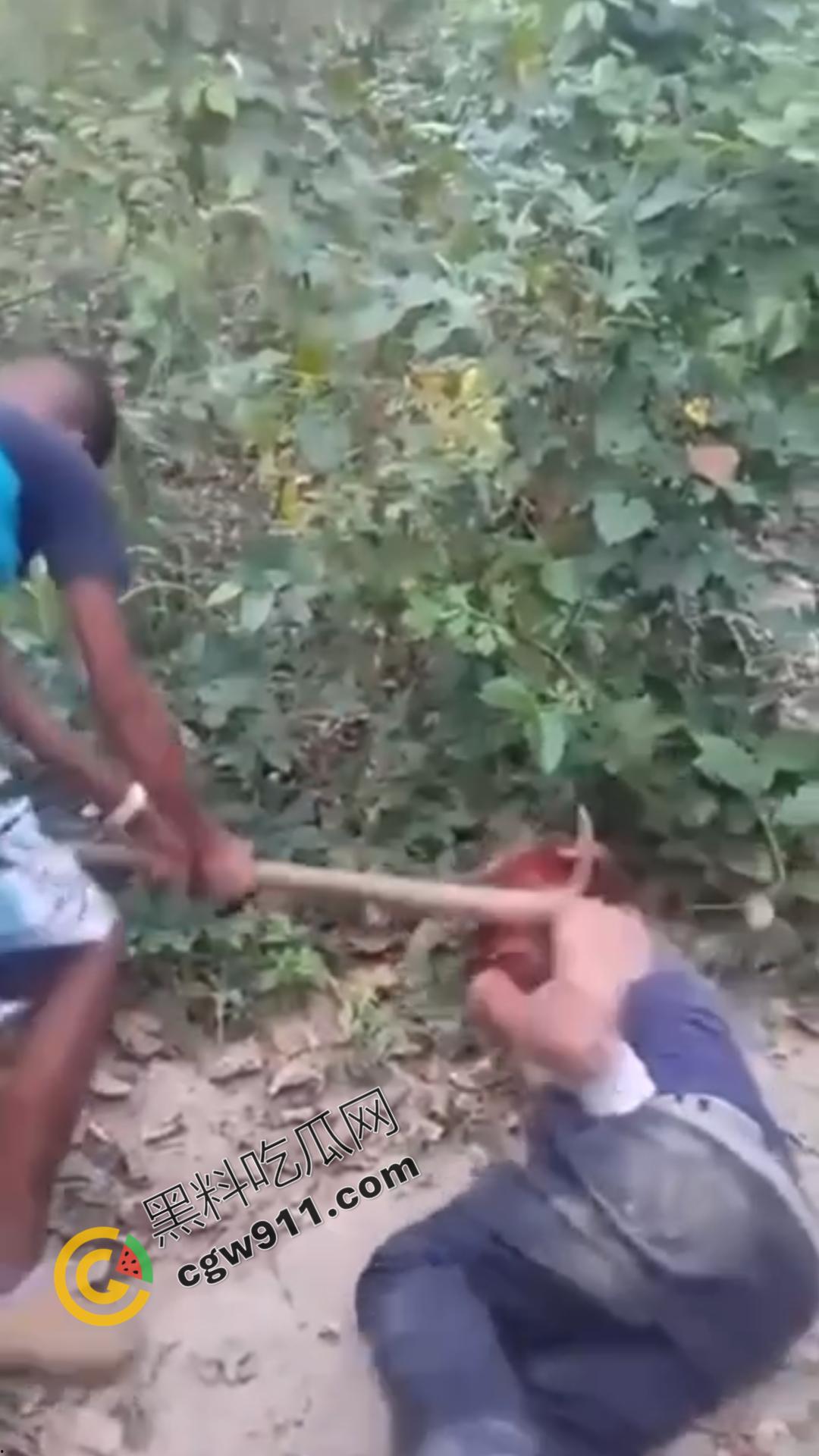 恐怖血腥暴力场面！奸夫惨遭铁镐猛砸，头颅血流如注，现场骇人至极，胆小者勿点！  第4张